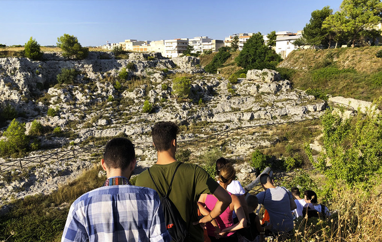 Excursions with local guide